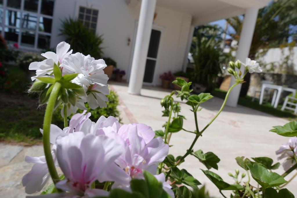 Limonlu Ev Ardic Hotel Alacati Exterior photo